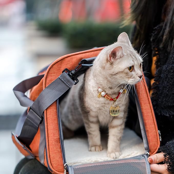 Mr. Pen- Pet Carrier, 17.5" x 11.2" x 11.5", Medium Size, Orange, Portable Travel Carrier for Small Pets, Cats & Small Dogs, Breathable Mesh, Safety Inner Leash, Side Pocket & Padded Shoulder Strap