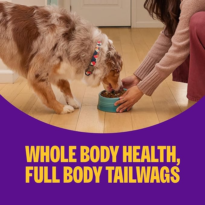 Wellness Complete Health+ Adult Dry Dog Food with Freeze Dried Wellbites, Wholesome Grain Kibble+, Natural, Chicken and Oatmeal Recipe, 4 lb Bag
