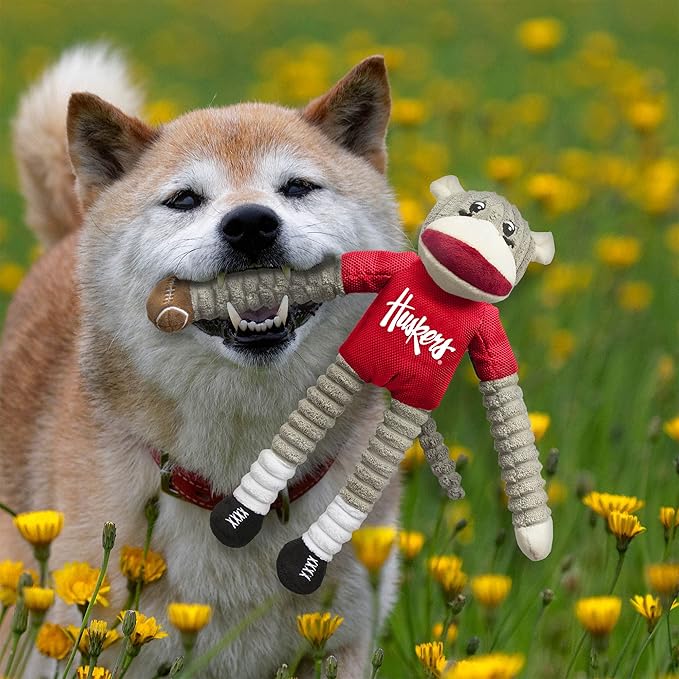 Littlearth NCAA Unisex NCAA Sock Monkey and Flying Disc Pet Toy Combo Set