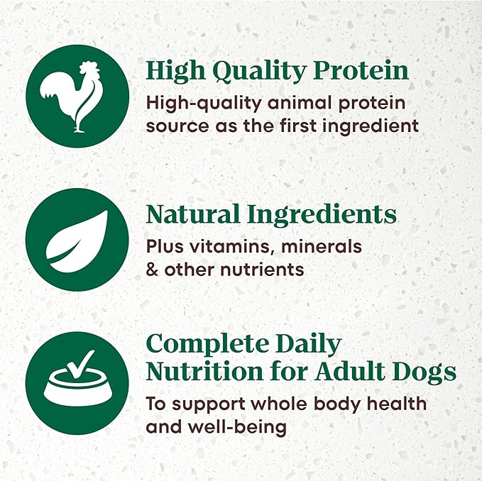 Nutro Ultra Wet Dog Food Pate with Food Toppers for Dogs, Chicken Entree, 3.5 oz. Trays (24 Count, Pack of 1)