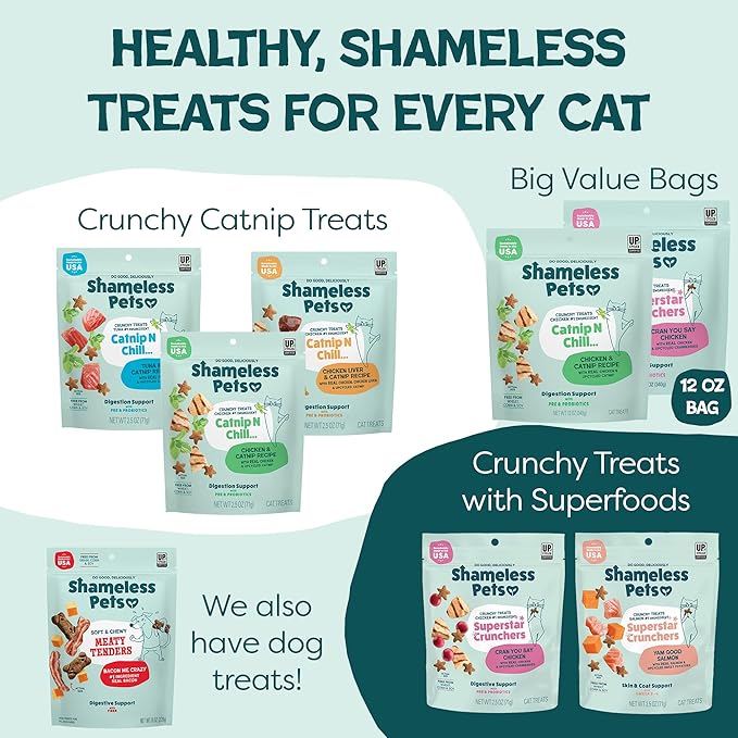 Shameless Pets Crunchy Cat Treats - Catnip Treats for Cats with Digestive Support, Natural Ingredients Kitten Treats with Real Chicken, Healthy Flavored Feline Snacks - Catnip N Chill, 3-Pk