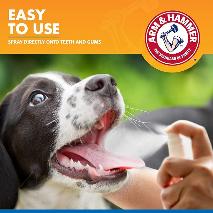 Arm & Hammer Tartar Control Dental Spray for Dogs, Mint Flavor Breath Freshener, Brushless Teeth Cleaning Oral Care with Baking Soda, Helps Reduce Plaque and Tartar Buildup, 4 Fl Oz - 24 Pack