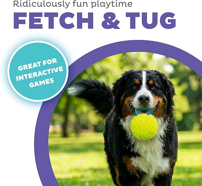 Outward Hound FlyFetch Giggle Ball Dog Toy, Giggles & Squeaks, Handle for Tug & Fetch, Lightweight, Multiple Textures, All Breeds, 7.3"