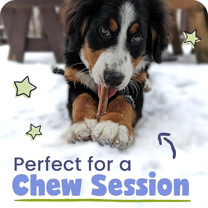 Pawstruck 100% Natural 9" Braided Bully Sticks for Dogs 1 lb Bag - Long Lasting Rawhide Free Single Ingredient Beef Pizzle Dog Chew Treats for Aggressive Chewers and Dental Health