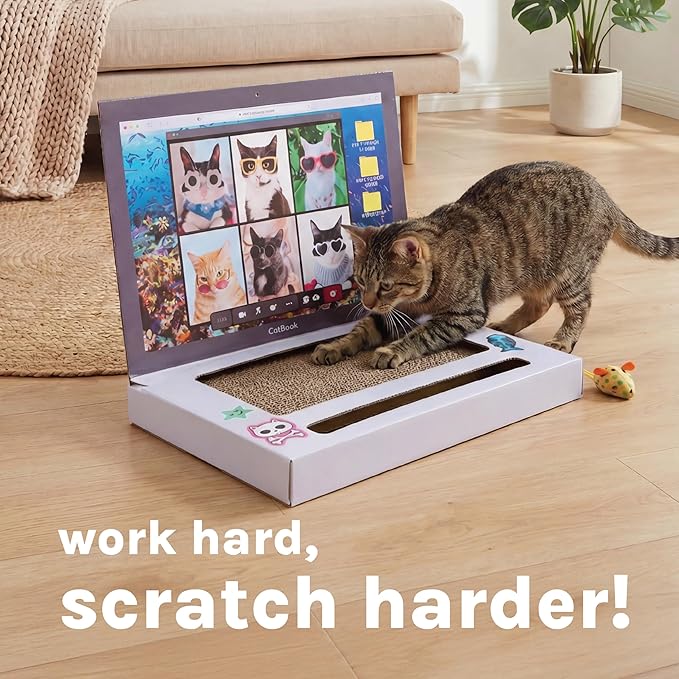 Kitty City Laptop Corrugate Cat Scratcher with Ball Track Toy - Scratch Pad Lounger, Horizontal Corrugate Nail File Bed for Indoor Kittens, Kitty Enrichment & Play, 15” x 10.2”