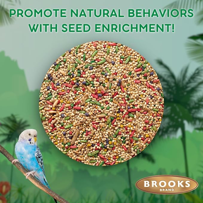 Brooks Brand Grains Plus Parakeet Blend, Bird Food Parakeet Bird Seed, Seed Mix, Millet for Budgie Seed (4.5 lbs Bag)