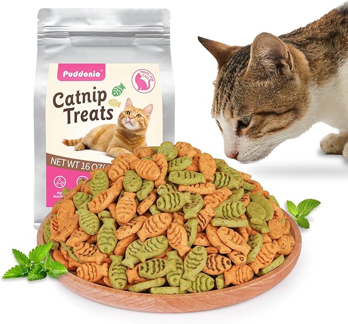 Catnip Cat Treats, Chicken & Salmon Flavor Crunchy Cat Biscuits, Fish-Shaped Training Snacks for Adult Cats, 16 oz