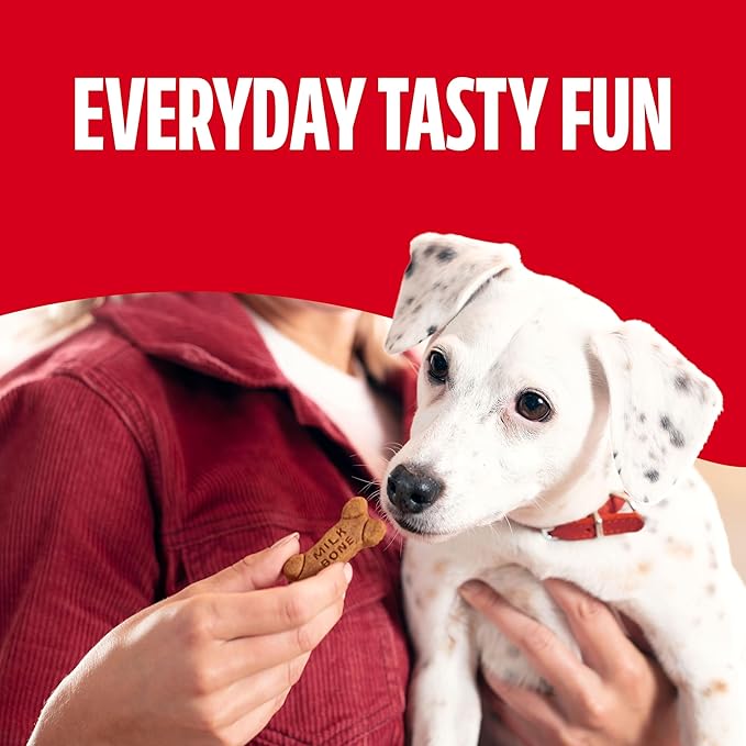 Milk-Bone Soft & Chewy Dog Treats, Made with Real Chicken, 5.6 Ounce Pouch (Pack of 10)