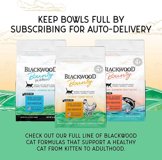 Blackwood Bounty Dry Cat Food, Chicken & Turkey Recipe for All Life Stages, 4.5 Pound Bag, High Protein, Grain Free