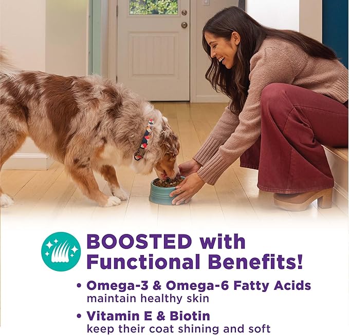 Wellness Bowl Boosters, Dog Food Topper for Small, Medium, & Large Breeds, Grain Free, Natural, Freeze Dried, Skin & Coat Health Chicken, 4 Ounce Bag (Pack of 2)