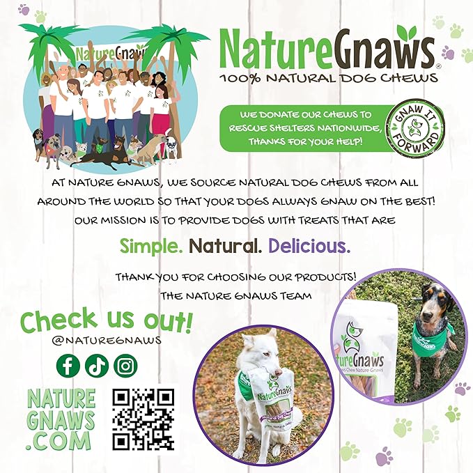 Nature Gnaws Large Bully Sticks for Dogs 5-6" (10 Count) - Thick Long Lasting for Aggressive Chewers and Large Dogs - Natural Beef Dog Chew Bones