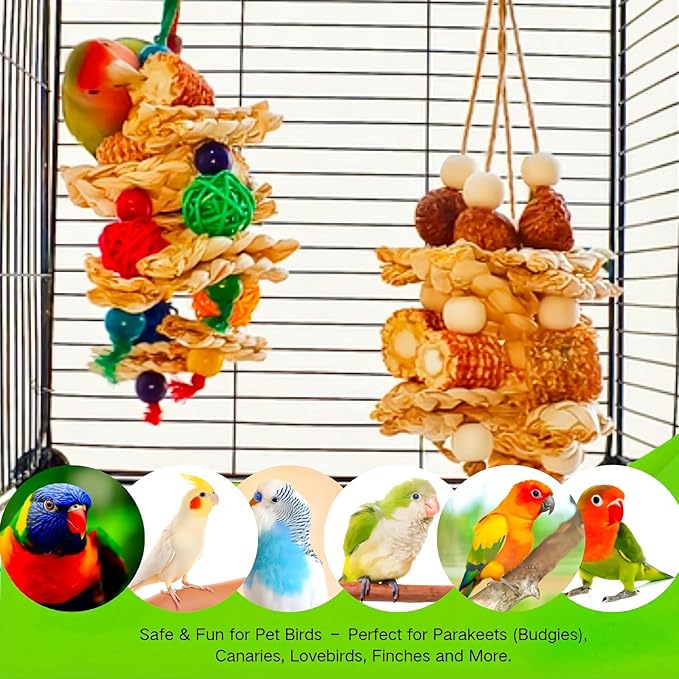 2pcs Bird Toys for Parakeets,Foraging Toys for Birds Parrot Chewing Hanging Toy,Bird Cage Toy for Conure Cockatiel Budgies Lovebird