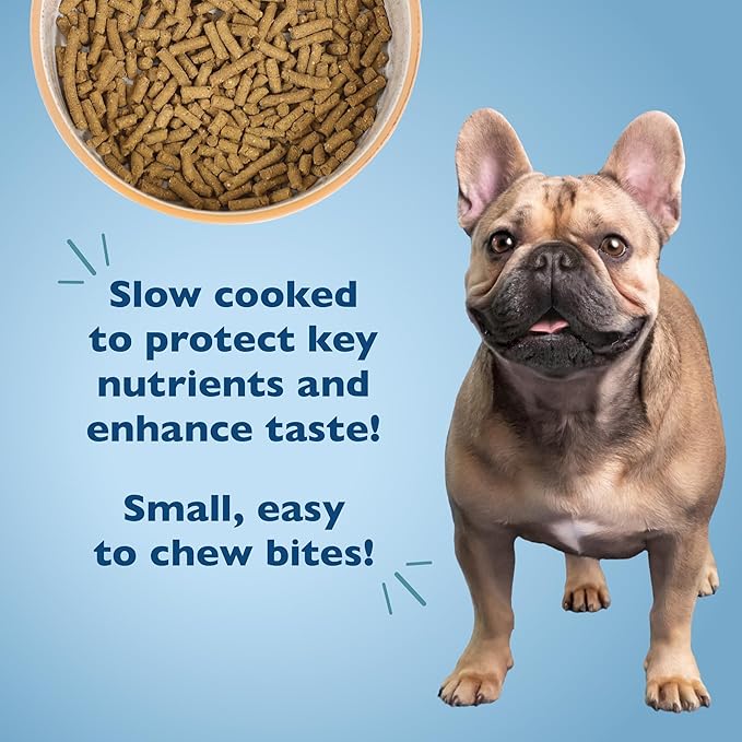 Bil-Jac Small Breed Adult Dry Dog Food | Chicken | Oatmeal & Yams Recipe | 6 lb (2-Pack)