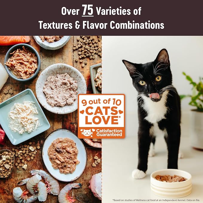 Wellness CORE Tiny Tasters Pate Adult Wet Cat Food, Natural, Protein Rich, Grain Free, Chicken Recipe, 1.75 oz, Pack of 12 Pouches