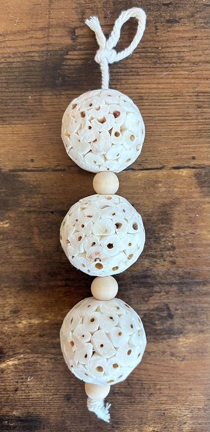 Shred and Destroy Bird Toy for Small Birds - Budgies, Lovebirds - Natural Sola Ball Hanging Chew Toy - 2 Pack - Boredom Buster Cage Toy
