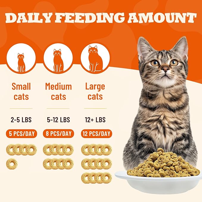 8 oz Pumpkin Treats Digestive Support Catnip Flavor Healthy Cat Snacks Training Biscuits Cat Treats