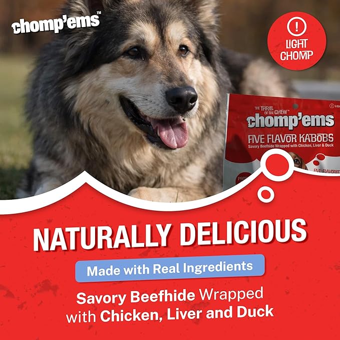 CHOMP 'EMS Five Flavor Kabobs Dog Treats - Beefhide Chewstick - High Protein Dog Chews, 24 Count, 16 oz,454g