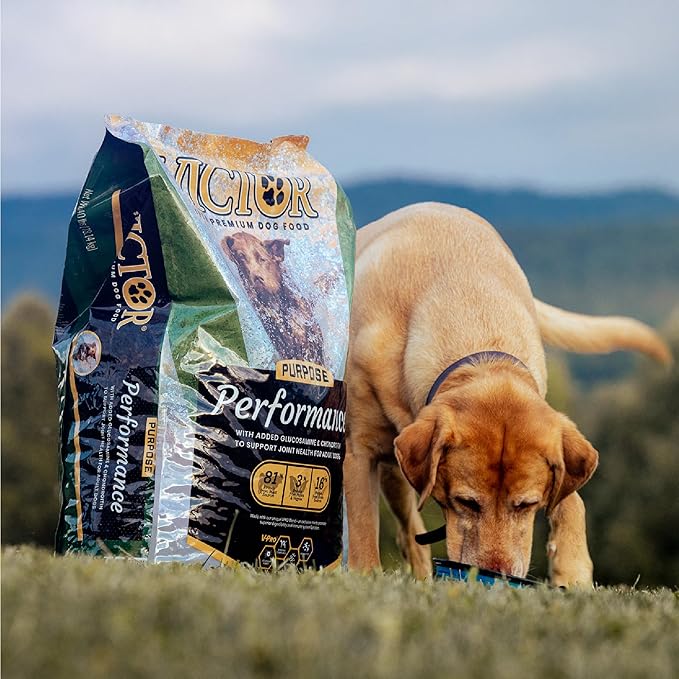 VICTOR Super Premium Dog Food – Performance Dry Dog Food from Beef, Chicken and Pork Meal – 26% Protein for Active Adult Dogs – Includes Glucosamine and Chondroitin for Hip and Joint Health, 5lbs