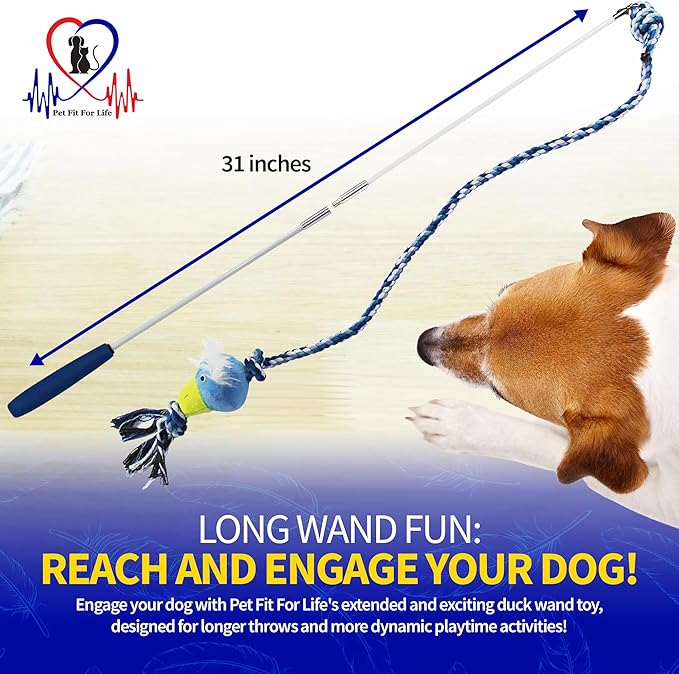 PET FIT for Life Plush Wand Squeaky Dog Toy