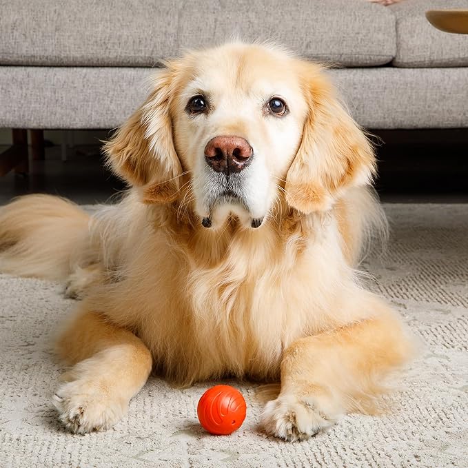 ZoomieBall Interactive Dog Ball Toy - Automatic Rolling & Bouncing, 3 Speed Modes, LED Lights, USB-C Rechargeable, Motion Activated Pet Toy (Orange)