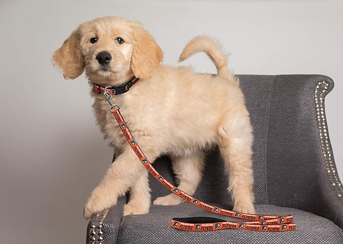 Pets First NHL Philadelphia Flyers Leash for Dogs & Cats, Medium. - Walk Cute & Stylish! The Ultimate Hockey Fan Leash!, Medium (4 ft Long x 0.62 in Width) (FLY-3031-MD)
