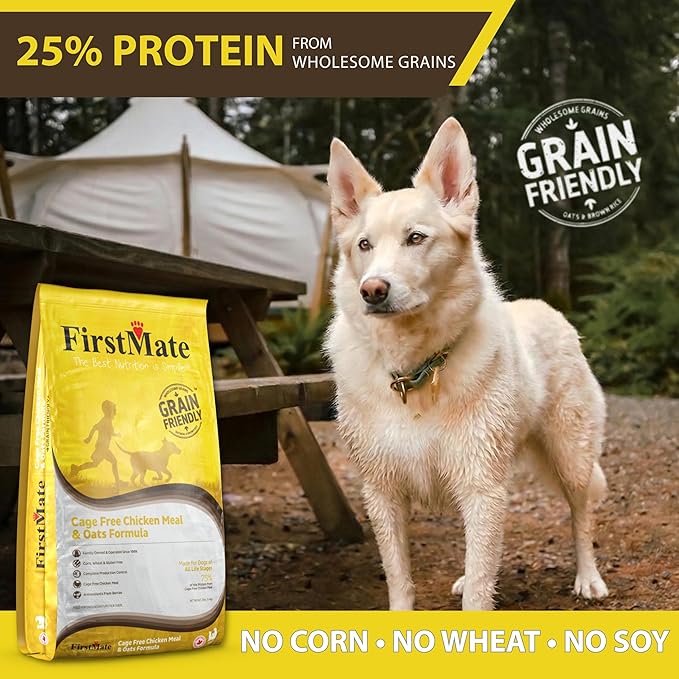 FirstMate Grain Friendly Dog Food Cage-Free Chicken Meal & Oats Formula – Humanely Raised Single Protein, Pea Free & Potato Free Dry Dog Food with Wholesome Grains – 25 lb Bag
