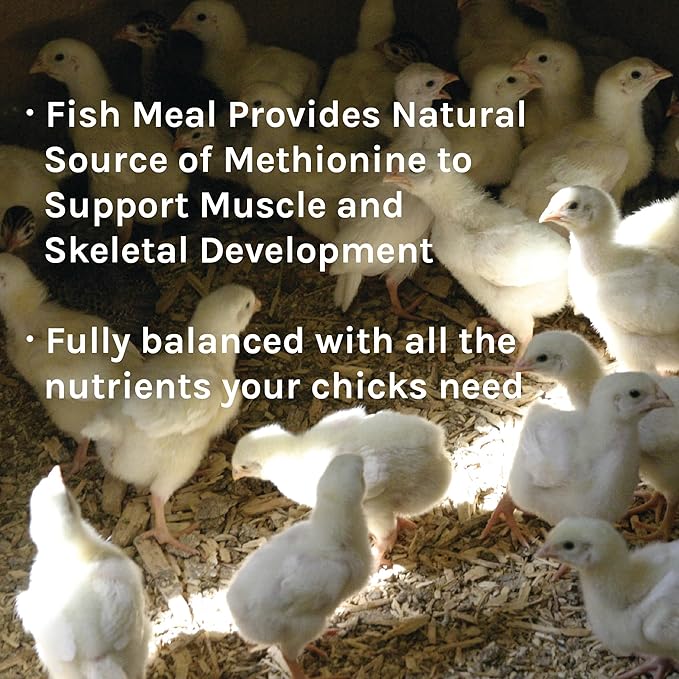 New Country Organics | Starter Feed for Baby Chicks | Soy-Free | 21% Protein | Certified Organic and Non-GMO | 10 Lbs