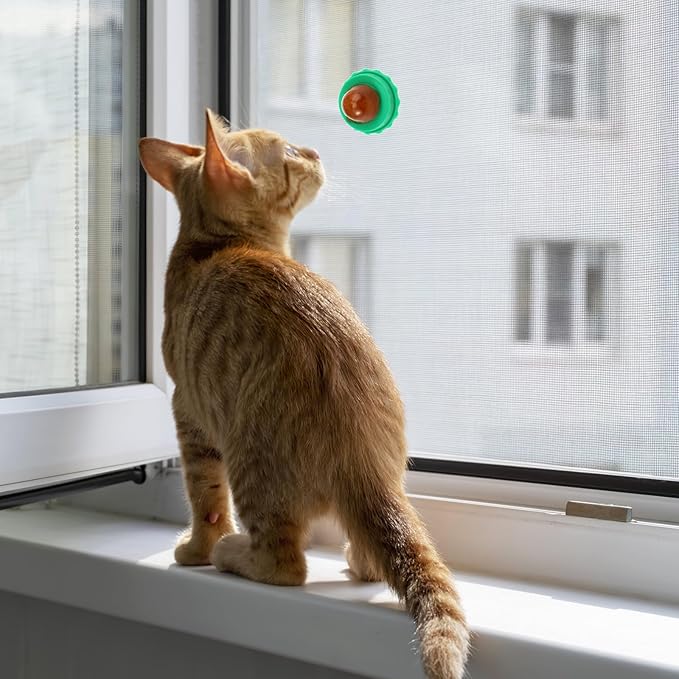 POPETPOP Cat Candy Snacks 5-Pack Lickable Catnip Treat Balls for Cats - Indoor Wall-Mounted Catnip Lollipops Promoting Hydration Urinary & Oral Health - Random Flavors