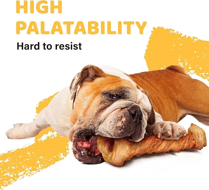 iPaw Turkey Tendon for Dogs, Single Protein, Hypoallergenic, All Natural Human Grade Puppy Chew, Rawhide Alternative Dog Treats, 4 Pcs/Pack Bone (Small)