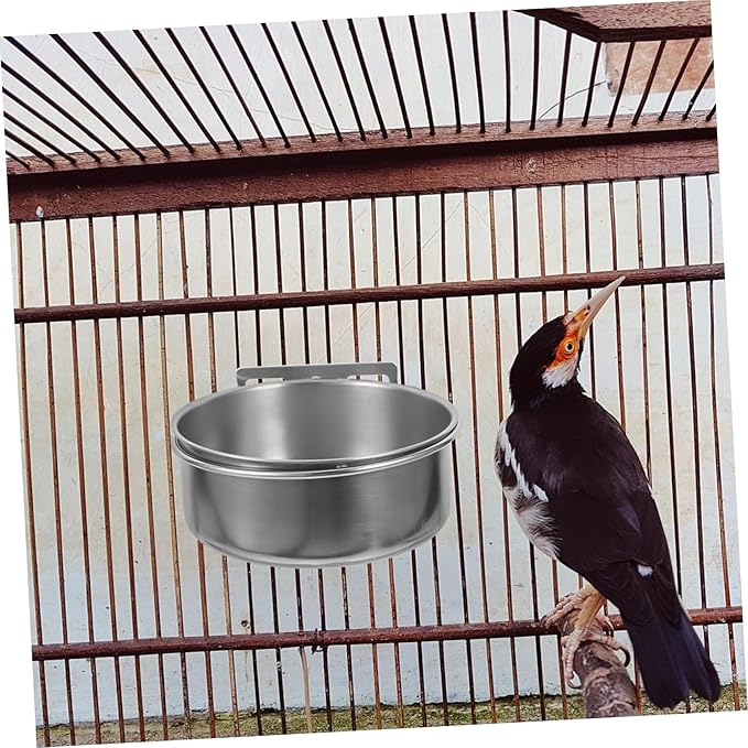 Stainless Steel Parrot Bowl with Clamp Holder Versatile Food Water Dish for Parakeets Lovebirds Conures and Cockatiels Nonslip Base for Stability and Reduced Mess Durable Bird Cage