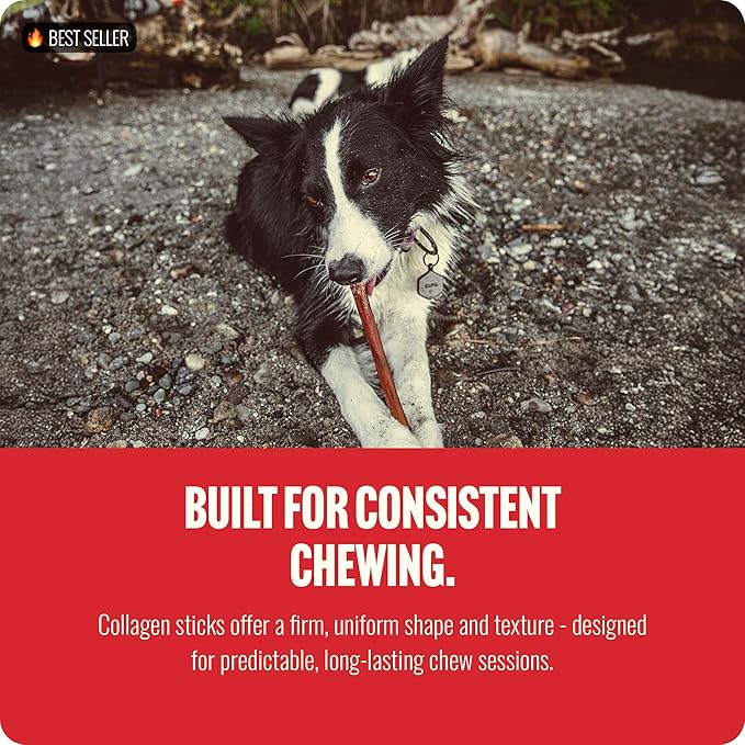 Natural Farm Bully Coated Gourmet Collagen Sticks (4 Inch, 25 Pack) – Real Bully Beef Coated, 95% Natural Collagen Dog Chews, Supports Healthy Joints, Skin & Coat - Best for Small & Medium Dogs