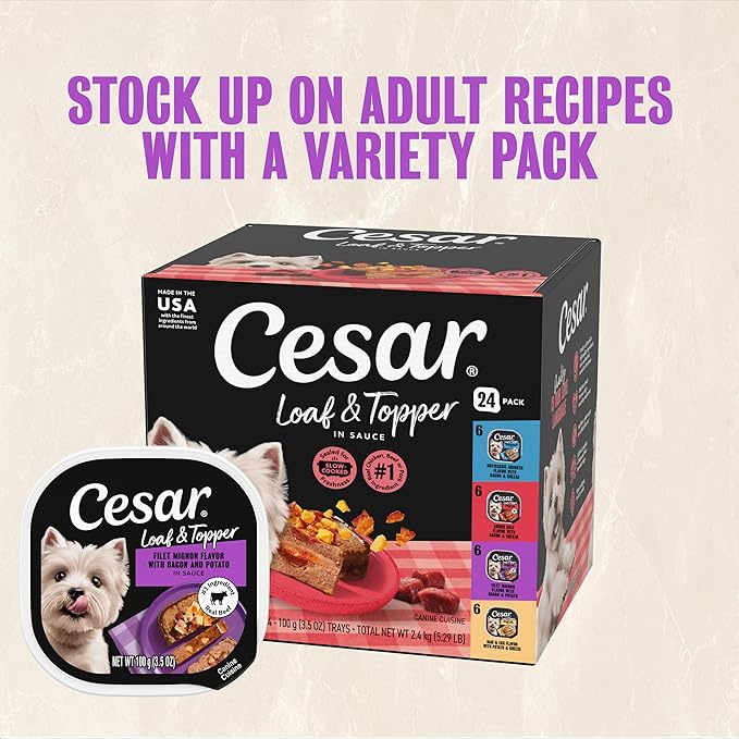 Cesar Loaf & Topper in Sauce Wet Dog Food Filet Mignon Flavor with Bacon & Potato, 3.5 oz. Easy Peel Trays, 24 Count (Pack of 1)