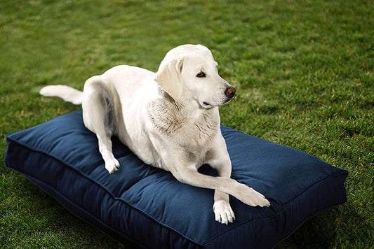 Sunbrella Double Sided Dog Bed for Indoor/Outdoor,Washable Cover & Chew Proof, Pets Mat for Multipurpose, Easy Care & Pet Safe Products for Dogs & Cats (Large, Polyester, Indigo,40”x30”x 4”)