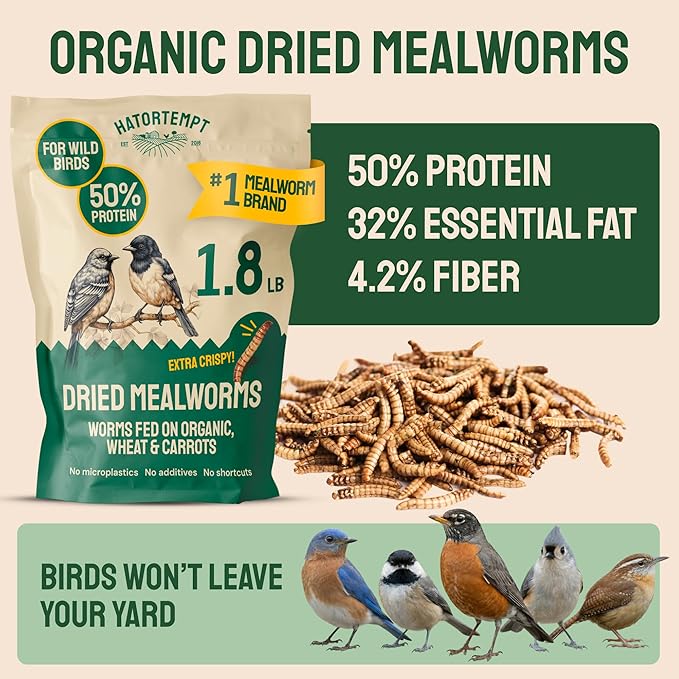 Hatortempt Dried Mealworms for Wild Birds - 1.8 Lb Bag - Non-GMO Meal Worms for Wild Birds - Attracts Bluebirds, Starlings, Wrens, Woodpeckers, Cardinals and Robins