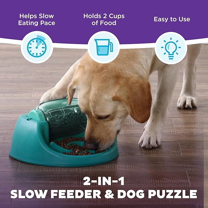Outward Hound by Nina Ottosson Spin N' Eat Dog Puzzle and Slow Feeder, Level 2 Intermediate Enrichment Toy, Green