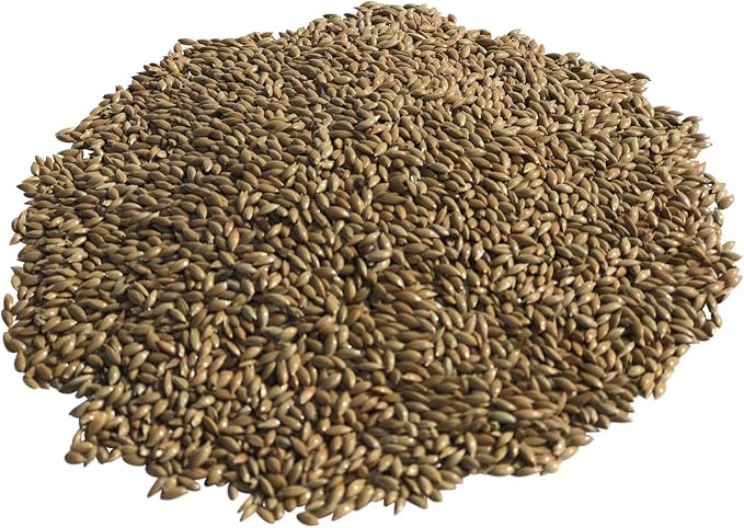 Rex Products,INC Canary Seed 4.5LB/ Plain 100% Doble Cleaned/Bird Food Ideal for Canaries, Finches, Parakeets, Conures, and Budgies