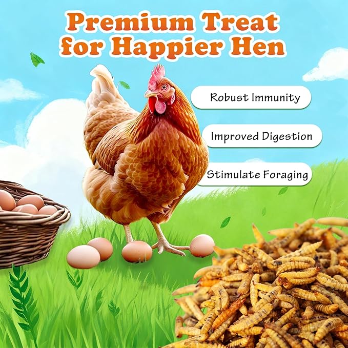5.5 LBS Dried Black Soldier Fly Larva/Dried Mealworms - 100% Natural BSF Larvae - 85XMore Calcium Than Mealworms - High Calcium Treats for Chickens, Birds, Reptiles, Hedgehog, Geckos, Turtles- 5.5 LBS
