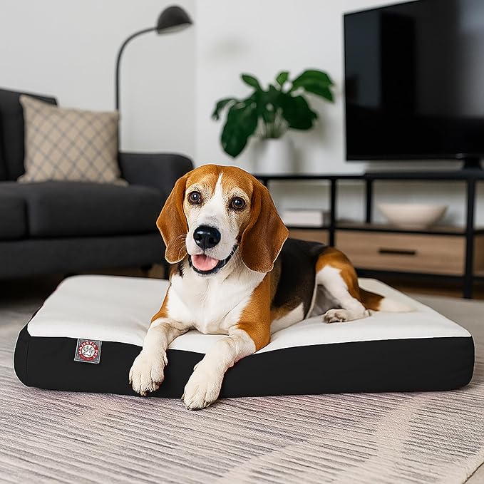 Majestic Pet 34x24x3 Inch Black Orthopedic Memory Foam Rectangle Dog Bed – Medium Size Crate Dog Bed for Dogs with Joint Pain, Arthritis – Durable Pet Mattress with Egg Crate Foam, Washable Cover
