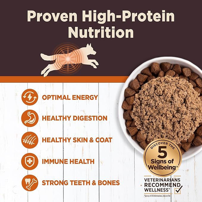 Wellness CORE Digestive Health Pate Adult Canned Wet Dog Food, Grain Free, Sensitive Stomach, Natural, Chicken Recipe, 13 oz, Pack of 12 Cans