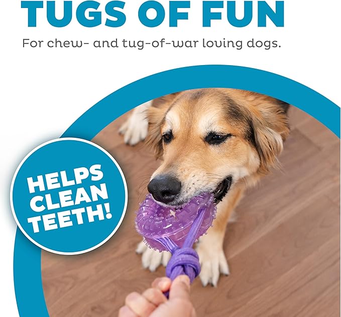Dental Chew Wheel Dog Toy – Ring & Rope Tug, Multi-Textured, Soft on Teeth, Moderate Chewers, Mint Scented, 9"