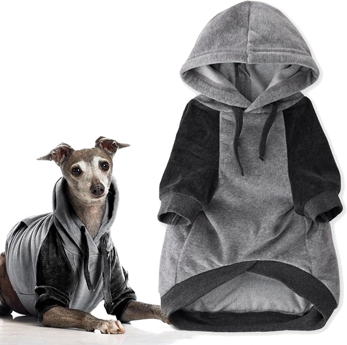 Pet Passion Cooper II Organic Cotton Velour Dog Hoodie Pet Coat for Small, Medium and Large Dogs, Heather Gray Color Block, X-Large (55-80 lbs)