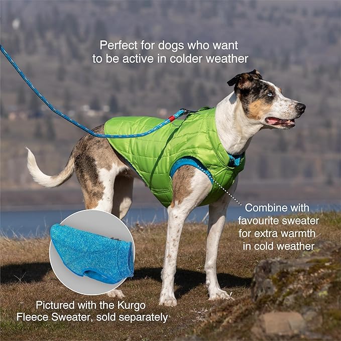Kurgo Loft Dog Jacket - Reversible Cozy Coat for Outdoor Adventures - Water Resistant - Athletic Fit - Machine Washable Fabric - Reflective Dog Gear - X-Large - Coastal Blue