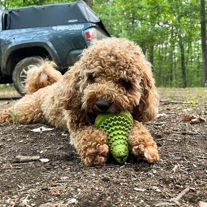 Tall Tails Natural Rubber Reward Interactive Dog Toy, Evergreen Tree