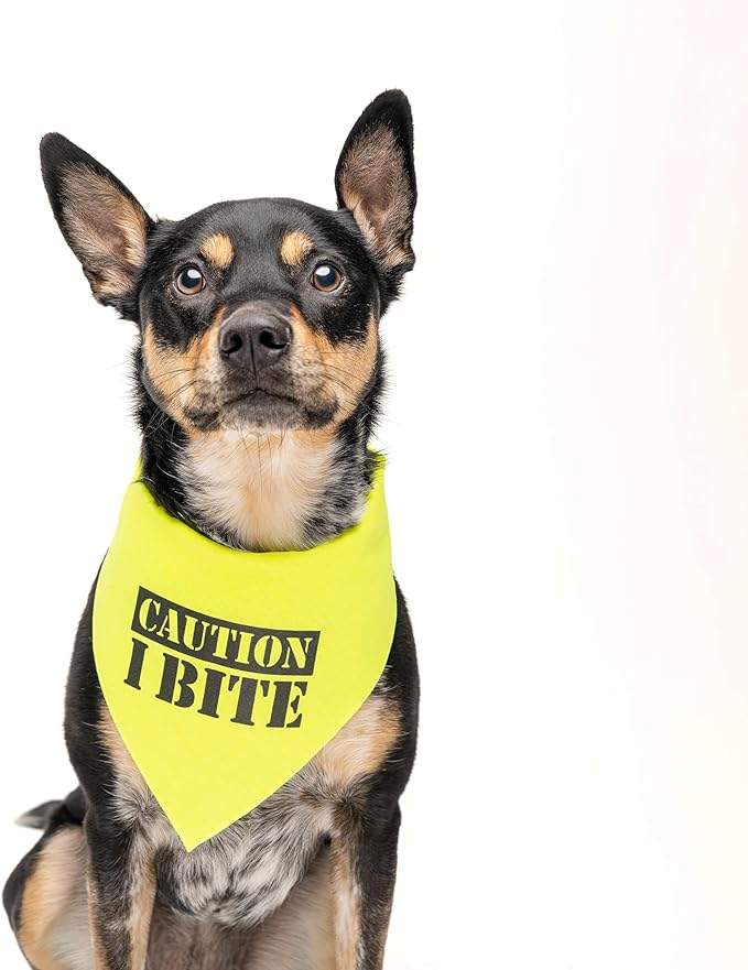 Caution I Bite Dog Bandana (Hot Pink, OS 836)