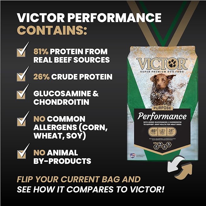 VICTOR Super Premium Dog Food – Performance Dry Dog Food from Beef, Chicken and Pork Meal – 26% Protein for Active Adult Dogs – Includes Glucosamine and Chondroitin for Hip and Joint Health, 5lbs