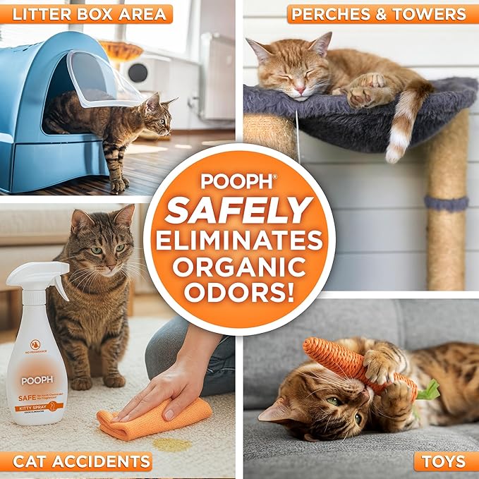 POOPH Cat Litter Box Odor Eliminator Spray 2-Pack (2 x 32 oz) — Cat Urine, Poop & Pee Odor Remover for Litter Box, Cat Trees & Furniture — Unscented, Safe for Cats & Kittens