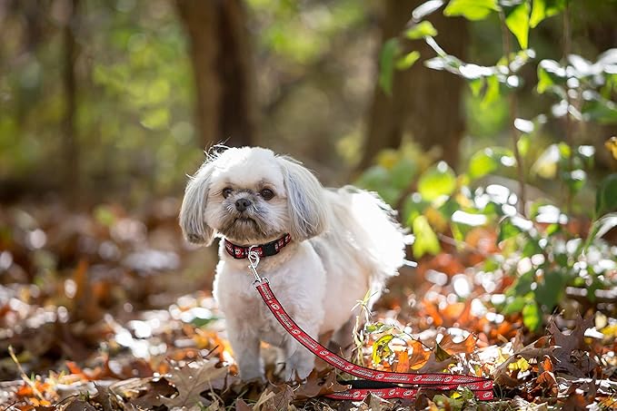 Pets First NHL Carolina Hurricanes Leash for Dogs & Cats, Walk Cute & Stylish! The Ultimate Hockey Fan Leash!, Large (6 ft Long x 1 in Width) (HUR-3031-LG)