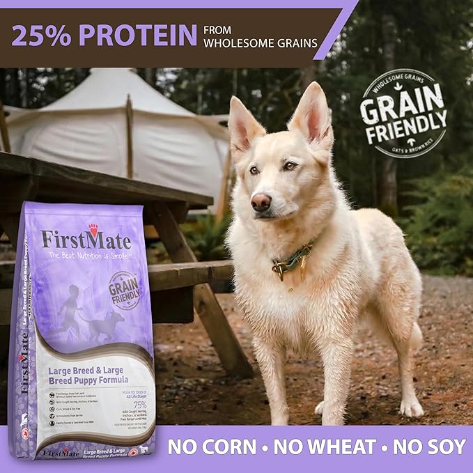 FirstMate Grain Friendly Dog Food Large Breed & Large Breed Puppy Formula – Wild Caught Fish & Grass Fed Lamb, Dry Dog Food for Growth & Joint Support, Pea Free & Potato Free – 25 lb Bag