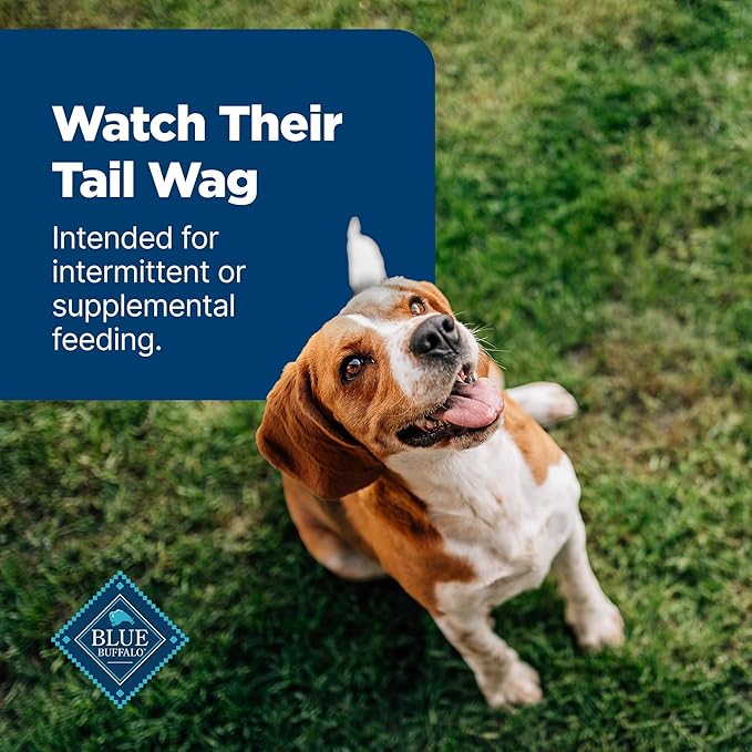 Blue Buffalo Nudges Jerky Bites Dog Treats, Made in The USA with Natural Ingredients, Bite-Sized Pieces, Chicken, 5-oz Bag (Pack of 2)