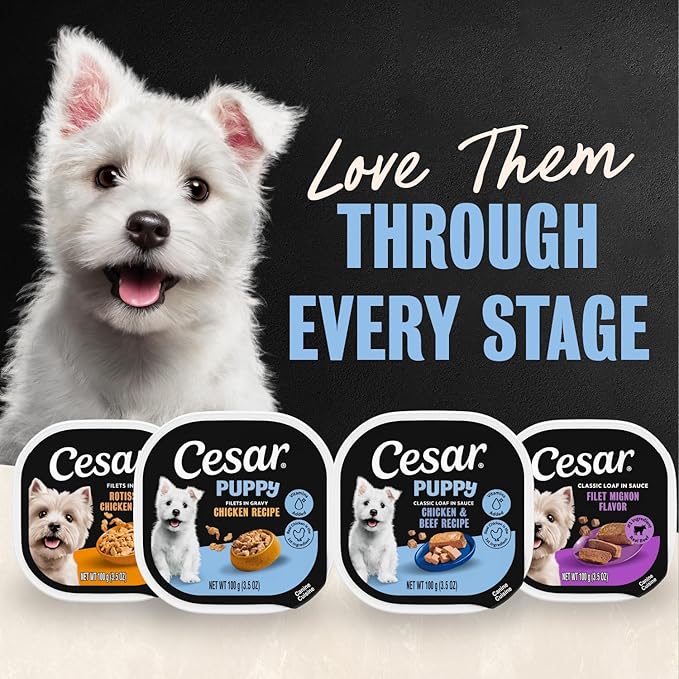 Cesar Puppy Classic Loaf in Sauce and Filets in Gravy Wet Dog Food Variety Pack, Chicken & Beef and Chicken Recipes, 3.5 oz. Easy Peel Trays, Dog Food Toppers, 12 Count (Pack of 2)